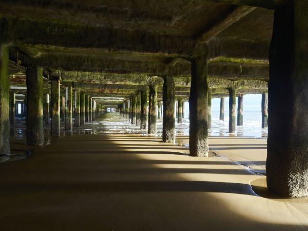 Concrete Pier Repair in Bellevue